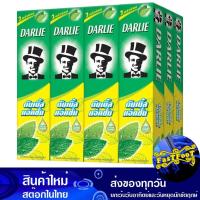 ราคา ยาสีฟันดับเบิลแอคชั่น 35 กรัม (12กล่อง) ดาร์ลี่ Darlie Double Action Toothpaste (22284141771)