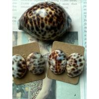 ราคา ต่างหูเปลือกหอยเบี้ยโป่งลายเสือ ขนาดใหญ่(ราคาต่อ 1คุ่ ) เปลือกหอยแท้ธรรมชาติ (44372273491)