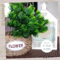 ราคา ช่อใบสนเขียวx7 ช่อใบสน ช่อลูกสน ดอกไม้ปลอม ลูกสนปลอม ช่อดอกไม้ ช่อดอกไม้จัดบ้าน ตกแต่งบ้าน พร๊อพถ่ายรูป (3448841586)