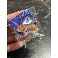 ราคา *พร้อมส่ง* งานกาชาปองหนูแฮมเตอร์ (40756305403)