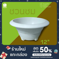 ราคา กระถางทรงชวนชม 12 นิ้ว สีขาว/ดำ กระถางพลาสติก มินิมอลปากกว้าง ทรงเตี้ย หนา (14509897079)
