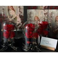ราคา Valentine's Day ดอกกุหลาบเสมือนจริงในโหลแก้ว ดอกไม้อมตะ เสมือนจริง (27461884083)