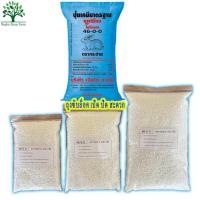 ราคา ปุ๋ยยูเรีย 46-0-0 ตรากระต่าย ถุงซิบล็อค แบ่งขาย (24756778498)