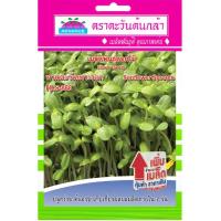 ราคา เมล็ดพันธุ์ ดอกไม้ทานตะวันเพาะงอก ตราตะวันต้นกล้า (41803152622)