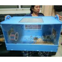 ราคา พร้อมส่ง กรงเม่น กรงหนูแฮมเตอร์ กรงอะคริลิค (กรงเปล่า) (1941268550)