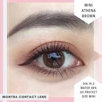 ราคา Arthenaคอนแทคเลนส์miniขนาดเท่าตาลายธรรมชาติ (10359432104)