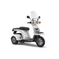 ราคา ตะแกรงเหล็ก บรรทุกของ รถป๊อปสามล้อ HONDA GYRO X 50CC [แท้มือสอง] (19169071964)