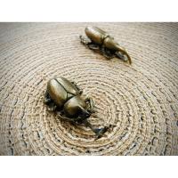 ราคา ด้วงกว่างและด้วงแรด ทองเหลือง สำหรับตกแต่งตั้งโชว์ (26705424520)