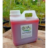 ราคา จุลินทรีย์สังเคราะห์แสง สูตรเข้มข้น (20730849352)