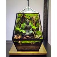 ราคา Geometric​ Terrarium​ Buddha​ statue(สวนขวดแก้ว) (24359710938)