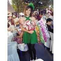 ราคา พวงมาลัยนักร้อง พวงมาลัยริบบิ้น พวงมาลัยงานเลี้ยง พวงมาลัย ความยาว50-60เซนติเมตร (5073700955)