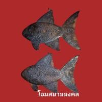 ราคา ปลาตะเพียนคู่ หลวงพ่อจง วัดหน้าต่างนอก ปี 2500 รุ่นประหยัด เนื้อทองแดง (20126182975)