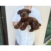 ราคา ตุ๊กตาสุนัข Ty ขนนุ่ม รุ่นปี 2004 Ty Chocolate Dark Brown Puppy Dog ขนาด 12 นิ้ว ป้าย Ty (29412741677)