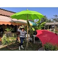 ราคา ⛱[ถูกมาก จากโรงงาน]⛱ ร่มสนาม ผ้าโทเร 40 นิ้ว ❌ส่งตรงจากเชียงใหม่ #ร่มผ้าโทเร #ร่มผ้าดิบ #ร่มเชียงใหม่ #ร่มสนาม #ร่มสปา (6132520604)