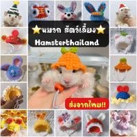 ราคา [Hamsterthailand] หมวกแฮมสเตอร์ หมวกสัตว์เลี้ยง สำหรับ ไจแอ้น แฮมสเตอร์ วินเทอร์ไวท์ (7353337287)