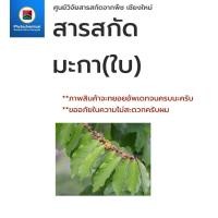 ราคา สารสกัดมะกา(ใบ)(แบบน้ำ) Maka leaf extract | สารสกัดจากพืช สารสกัดสมุนไพร 100% | เข้มข้นสูง 25-100 g. (23354067518)