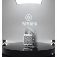 ราคา การ์ดหม้อน้ำ Yamaha Aerox ลาย ศูนย์ Yamaha Aerox 2015-2023 ลาย ใหม่F (28788458904)