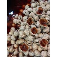ราคา หอยแครงดอง หอยแครงดองน้ำปลากวน (700 กรัม) สด ใหม่ สะอาด อร่อย (54750678454)