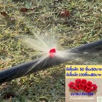 ราคา มินิสปริงเกอร์ผีเสื้อเล็ก มินิสปริงเกอร์ท่อpe มินิสปริงเกอร์ผีเสื้อเล็กพร้อมด้ามเจาะpe (5380101556)