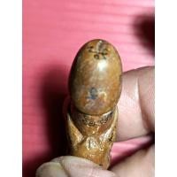 ราคา ปลัดขิกหลวงพ่อคงวัดวังสรรพรส (25347806551)