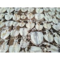 ราคา หมึกหอมแดดเดียว สูตรชาวเล ส่งตรงจากชายเล ชะอำ (7122635414)