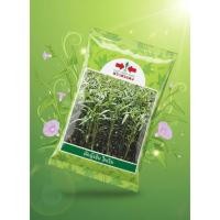 ราคา เมล็ดพันธุ์ผักบุ้งจีน ไผ่เงิน ตราศรแดง ใบเรียว สีเขียวสด (42026831447)