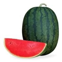 ราคา เมล็ดแตงโมกินรี แตงโมแดง แตงโมหวาน 15 เมล็ด !!ของแท้!! (21563601323)