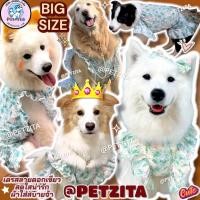 ราคา พร้อมส่ง BIG SIZE เดรสหมาใหญ่ เดรสแสนสวย ชุดเจ้าหญิง ชุดสุนัขพันธุ์ใหญ่ หมาอ้วน ไซบีเรียน โกลเด้น ลาบาดอร์ (27629786656)