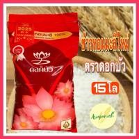 ราคา ข้าวหอมมะลิใหม่ต้นฤดูตราดอกบัว ถุง 15 กก. (29473494870)