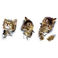 ราคา สติกเกอร์ติดผนัง พิมพ์ลายแมว 3 มิติ สำหรับตกแต่งบ้าน (2351830129)