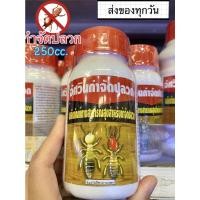 ราคา อัศวินกำจัดปลวก น้ำยากำจัดปลวกชนิดเข้มข้น ขนาด 250cc.(1ขวด) (17501508909)