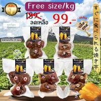 ราคา Oishi-Fresh มันหวานญี่ปุ่นแท้ 5 ยี่ห้อ เผาพร้อมตัดทาน เนื้อเหลือง หอม หวาน 300 ก.2-3 ชื้น จัดส่ง 24 ชม. (43862082521)