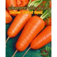 ราคา เมล็ดพันธุ์ แครอท สีส้ม แดนเวอร์ 100 เมล็ด Danver Carrot Seed เมล็ดพันธุ์ (9981130885)