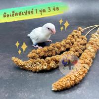 ราคา < 3 ช่อ มิลเล็ตสเปรย์ > Millet Spray แบ่งขาย ธัญพืช เมล็ดพืช อาหารเสริม นก ลูกป้อน ฟอฟัส เลิฟเบิร์ด ซันคอนัวร์ ค็อกคาเทล (18727271516)