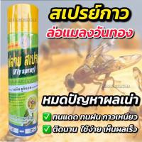ราคา สเปรย์กาวดักแมลงวันทอง ฟลายสเปรย์ เมทิล ยูจินอล กาวดักแมลง กาวล่อแมลง แมลงวันทอง แมลงวันผลไม้ ขนาด 600ml (25417464020)