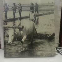 ราคา หนังสือมือสองสงครามโลกครั้งที่สอง CHINA- BIRMA-INDIA, By Don Moser (43376854577)