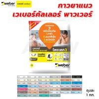 ราคา กาวยาแนวอย่างดี Weber เวเบอร์คัลเลอร์ พาวเวอร์ 1 กก. ป้องกันแบคทีเรีย ราดำ และตะไคร้น้ำ (56003076803)