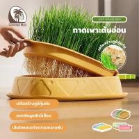 ราคา (แถมเมล็ด5ซอง)หญ้าแมว ออร์แกนิค ชุดปลูกต้นอ่อนข้าวสาลี เมล็ดข้าวสาลี ข้าวสาลีแมว​ ชุดปลูกต้นอ่อนข้าวสาลี (24140752650)