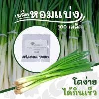 ราคา เมล็ดหอมแบ่ง 100 เมล็ด (แบ่งขาย) เมล็ดผัก ต้นหอม (19709283301)