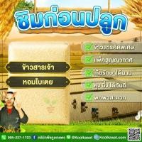 ราคา ข้าวสาร ชิมก่อนปลูก​​ ทดลองปลูก ท้องถิ่น ข้าวเจ้า หอมมะลิใบเตย C85 ข้าวนาปี ไวแสง หอมนุ่ม 1-3 กก. คูลเกษตร KS18 (55056285263)