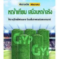 ราคา หญ้าเทียมตกแต่งสวน หญ้าเทียมเกรดเอ หญ้าปลอม แผ่นหญ้าเทียม หญ้าปูสนาม อุปกรณ์ตกแต่งสวน หญ้าเทียมปูพื้น หญ้าเทียม (9826801440)