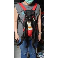 ราคา กระเป๋าหมา เป้สะพายใส่สุนัข กระเป๋าสัตว์เลี้ยง เป้อุ้มสุนัข เป้อุ้มแมว เป้สะพายสัตว์เลี้ยง (21471591532)