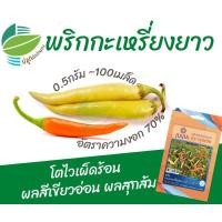 ราคา เมล็ดพันธุ์ พริกกะเหรี่ยงยาว (Chilli Pepper) (11364720397)
