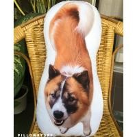 ราคา #309 หมอน​สัตว์​เลี้ยง​เเสน​น่ารัก​ หมอน​กอด​ หมอนสั่งทำ​ หมอนสกรีน​รูปภาพ​ #หมอน​ภาพถ่าย​ #หมอนสกรีน (5677348549)