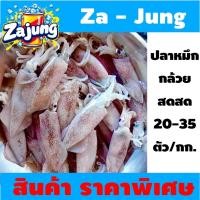 ราคา ปลาหมึกกล้วยสดสด ปลาหมึกตัวสวยๆ จากทะเล ขนาด 20-35 ตัว/กิโลกรัม (28374799592)