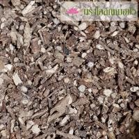 ราคา เถาบอระเพ็ด คัดเกรด 50 กรัม, 100 กรัม (8643245292)