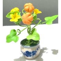 ราคา กระถางต้นฟักทอง พืชมงคล หนุนำโชคลาภเงินทองและความอุดมสมบูรณ์ (3374196071)