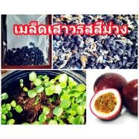 ราคา เมล็ดพันธุ์ เสาวรส 100 เมล็ด (5204175673)