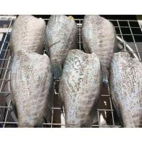 ราคา ปลาสลิดแดดเดียว ขนาด 5-7 ตัวโล สูตรเค็มน้อย 1 กิโลกรัม (29444272227)