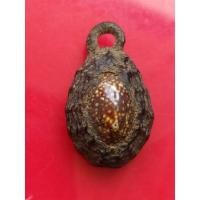 ราคา เบี้ยแก้หลวงปู่รอดวัดนายโรง (5992735082)